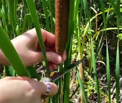 How to Make Dirty Water Drinkable