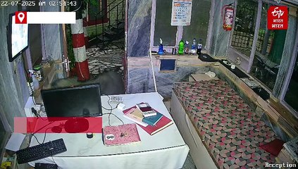 खाने की तलाश में होटल के रिसेप्शन पर पहुंचा भालू, वहां क्या किया, देखिए...