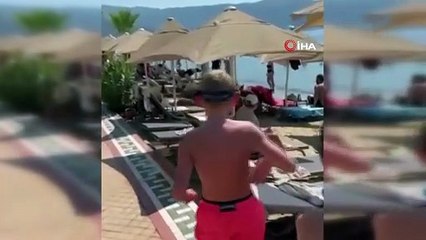 Türkiye'nin yeşille mavinin buluştuğu cennetinin asıl sahipleri ortaya çıktı!