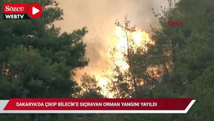 Sakarya’da çıkıp Bilecik’e sıçrayan orman yangını yayıldı