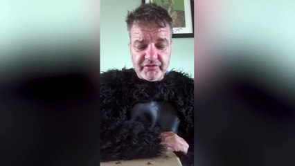 Dad told off for wearing gorilla costume to school