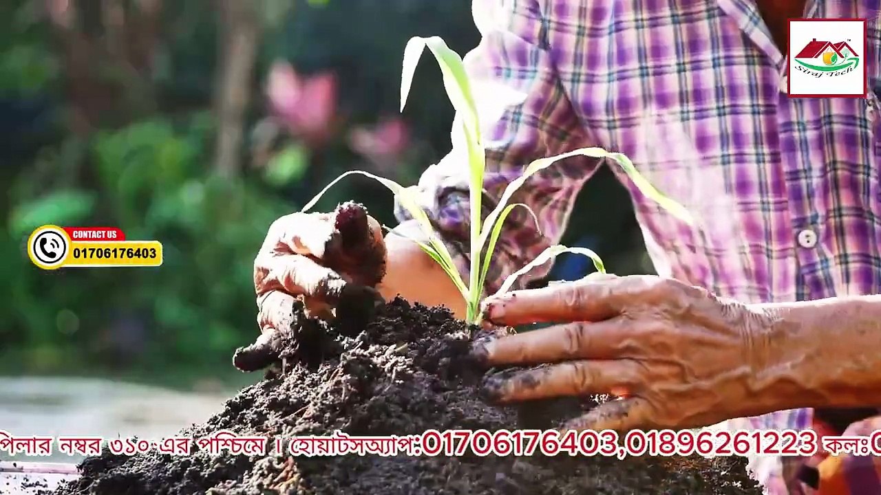 প্রাকৃতিক উপায়ে গাছের যত্ন নিন – কোনও কীটনাশক ছাড়াই ✅