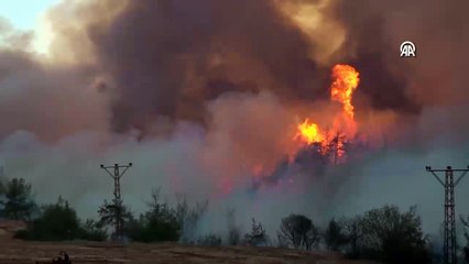Sakarya'daki yangın Bilecik'e sıçradı, dumanlar Eskişehir'e ulaştı