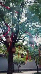 The Hidden Edge of Grace Full Chinese Drama