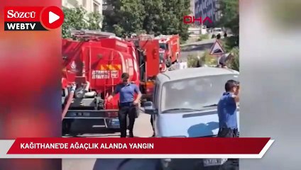 Kağıthane'de ağaçlık alanda yangın; polis itfaiye hortumuyla çevredekiler damacanayla müdahale etti