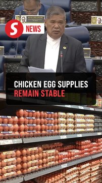 Supply of chicken eggs remains stable despite end to subsidies, says Mat Sabu