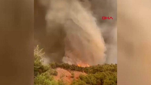 Sakarya'da başlayıp Bilecik'e sıçrayan yangın alev hortumu oluşturdu