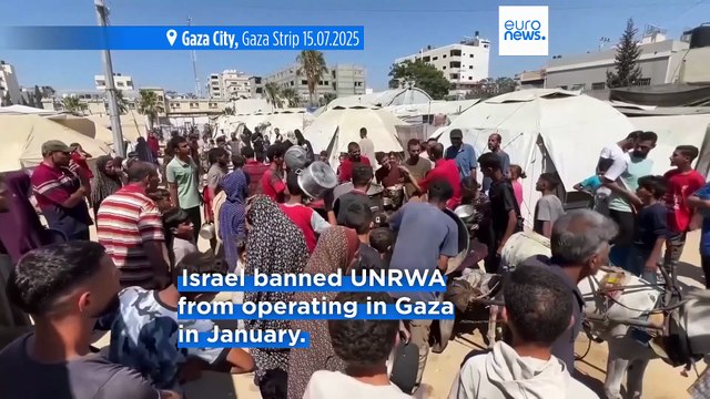 Foreign ministers of 28 countries call for immediate ceasefire in Gaza