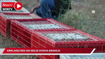 Kırklareli'nde 600 keklik doğaya bırakıldı