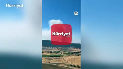 Eskişehir'de ormanlık alanda yangın!