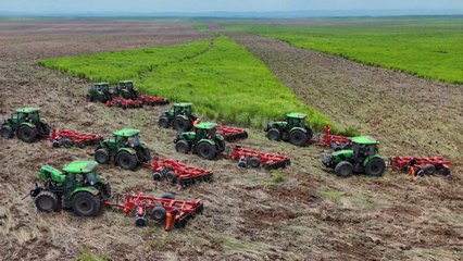 Soia e girasoli coltivati in Africa per produrre biocarburanti in Italia: ecco cosa sta succedendo