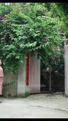 Love After Lies Chinese Drama - English Sub