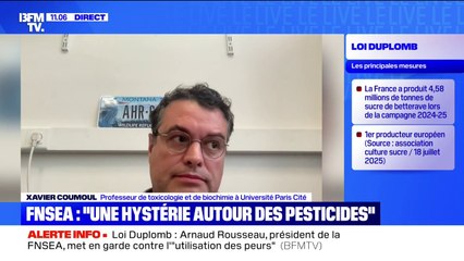 Loi Duplomb: l’acétamipride, l’insecticide au cœur des débats