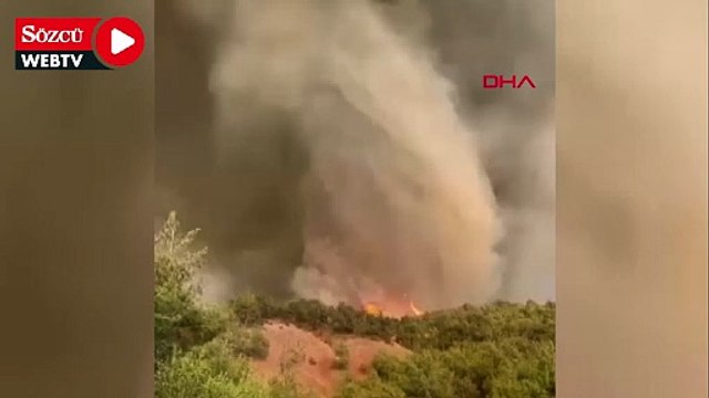 Sakarya'da başlayıp Bilecik'e sıçrayan yangın alev hortumu oluşturdu