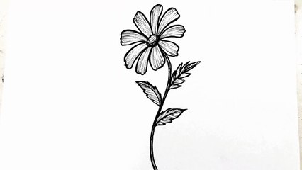 How to draw a flower easy step by step - Simple flower drawing