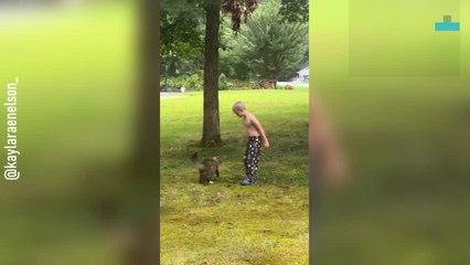 Boy Learns Hard Lesson About Keeping Cats