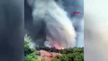 Sakarya'dan Bilecik'e sıçrayan orman yangınında hortum dehşeti kamerada
