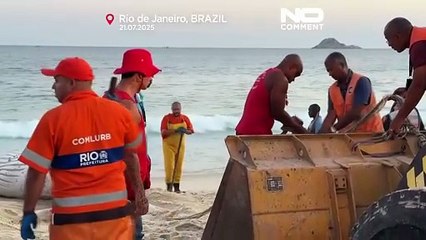 Buckelwal an Küste von Rio de Janeiro gespült