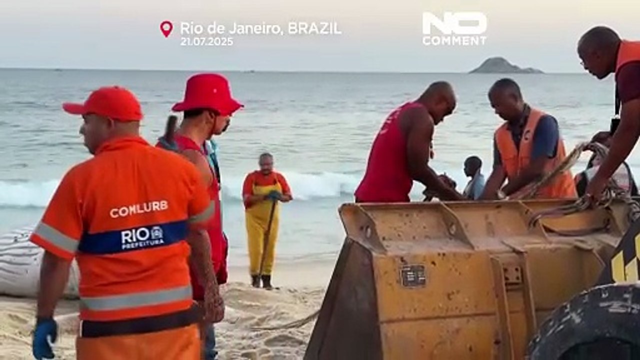 العثور على حوت أحدب نافق على شاطئ في ريو دي جانيرو