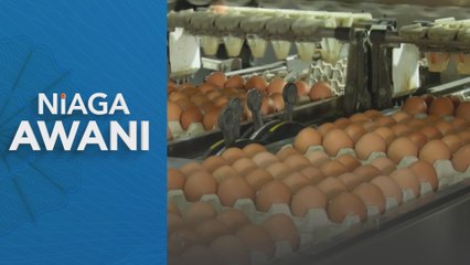 Pengurangan subsidi telur jimatkan RM45 juta sebulan.