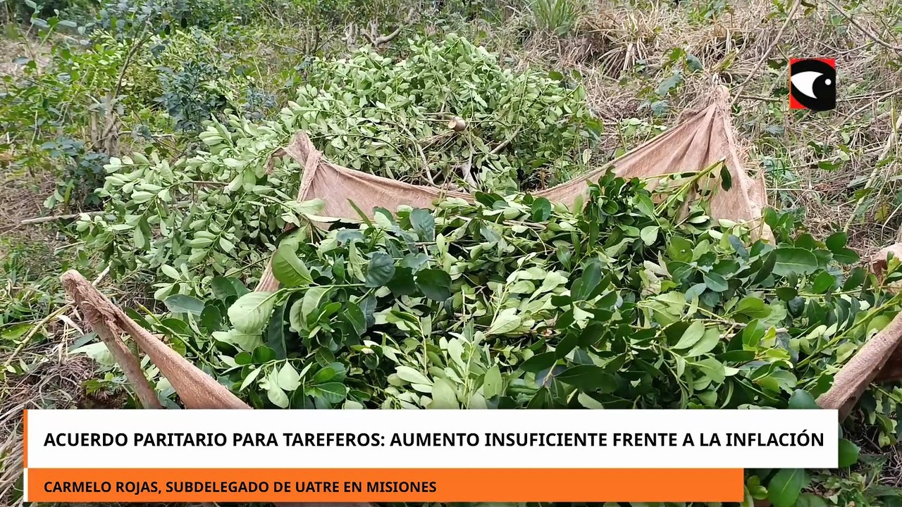 Acuerdo paritario para tareferos: aumento insuficiente frente a la inflación