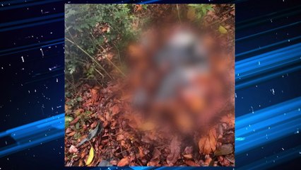 Capitão Poço: corpo encontrado em área de mata