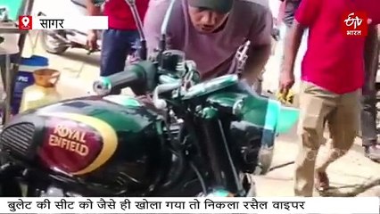 सबसे जहरीले सांप रसैल वाइपर को बुलेट की सवारी का शौक