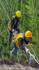 The Most Extreme Lineman Moments Ever Filmed