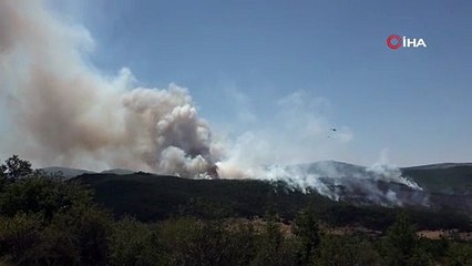 Seyitgazi’de çıkan yangın büyümeye devam ediyor