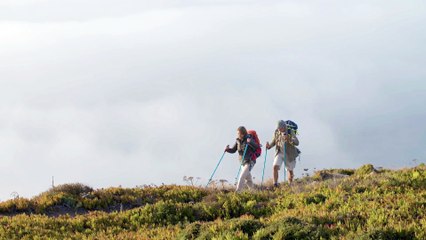 What is the purpose of human existence ?