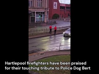 Hartlepool firefighters lay flowers for police dog
