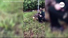Hund an Pfahl angebunden: Seine Reaktion trifft die Polizistin mitten ins Herz (Video)