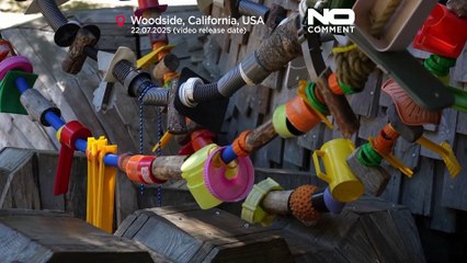 Giganti troll fatti di rifiuti avvertono sulla distruzione ambientale