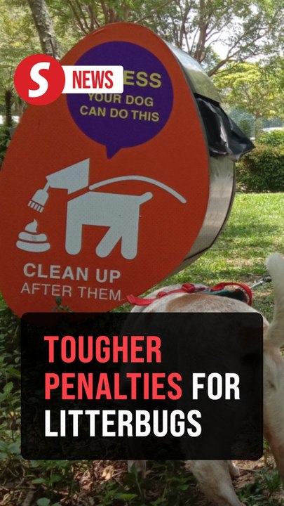 Pet owners: Clean up or face a fine under amended law