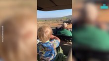 Kid Waves at Lots of Elephants