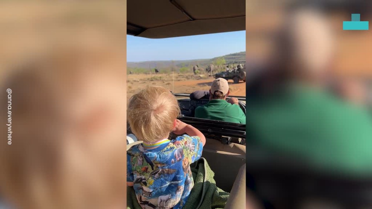 Kid Waves at Lots of Elephants