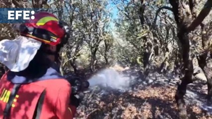 El fuego de Navaluenga baja de nivel de peligro
