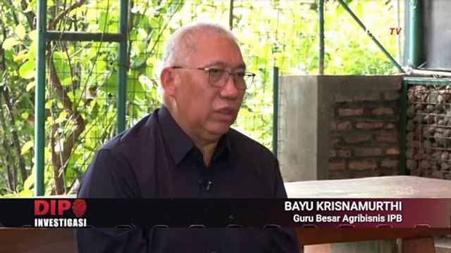 Strategi Lawan Pemain Beras Menurut Pengamat | DIPO INVESTIGASI