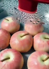 Manger des fruits comme ça... tous les jours