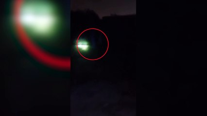 Temor en Moreno por un puma suelto