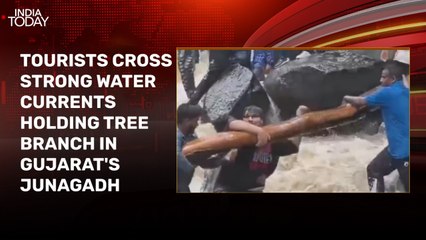 Video: Tourists cross strong water currents on tree branch in Gujarat's Junagadh