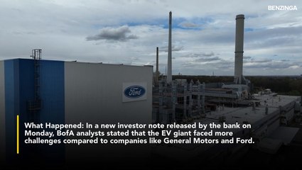 Bank of America Boosts Tesla Target to $341, Bets Big on Musk’s FSD Vision!