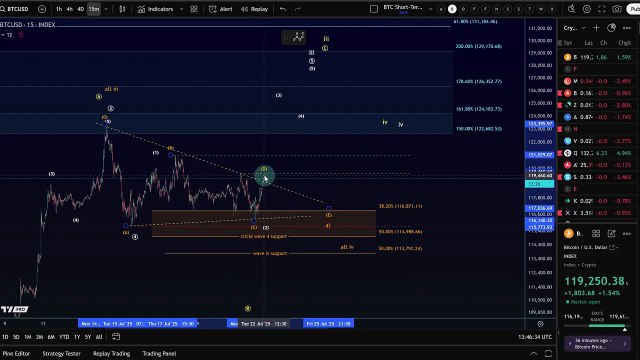 Bitcoin Price Elliott Wave Price Update_ Understanding the Bullish and Bearish BTC Scenarios