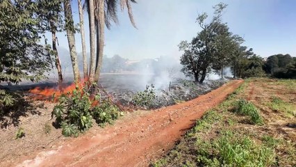 Chamas assustam moradores e Bombeiros agem rápido no Brasmadeira