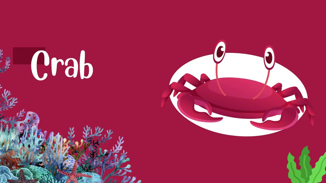 Save the Sea Animals! 🌊 Learn About Ocean Life & Deep Sea Creatures | Kids’ Marine Adventure |Education Videos | Preschool Learning |