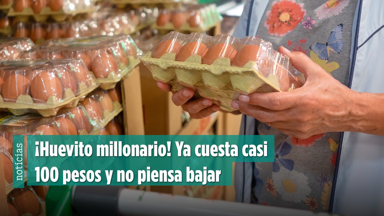 ¡Huevito millonario! Ya cuesta casi 100 pesos y no piensa bajar