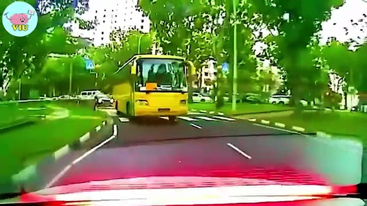 100 Incredible Moments Caught on Camera. Best of the Month