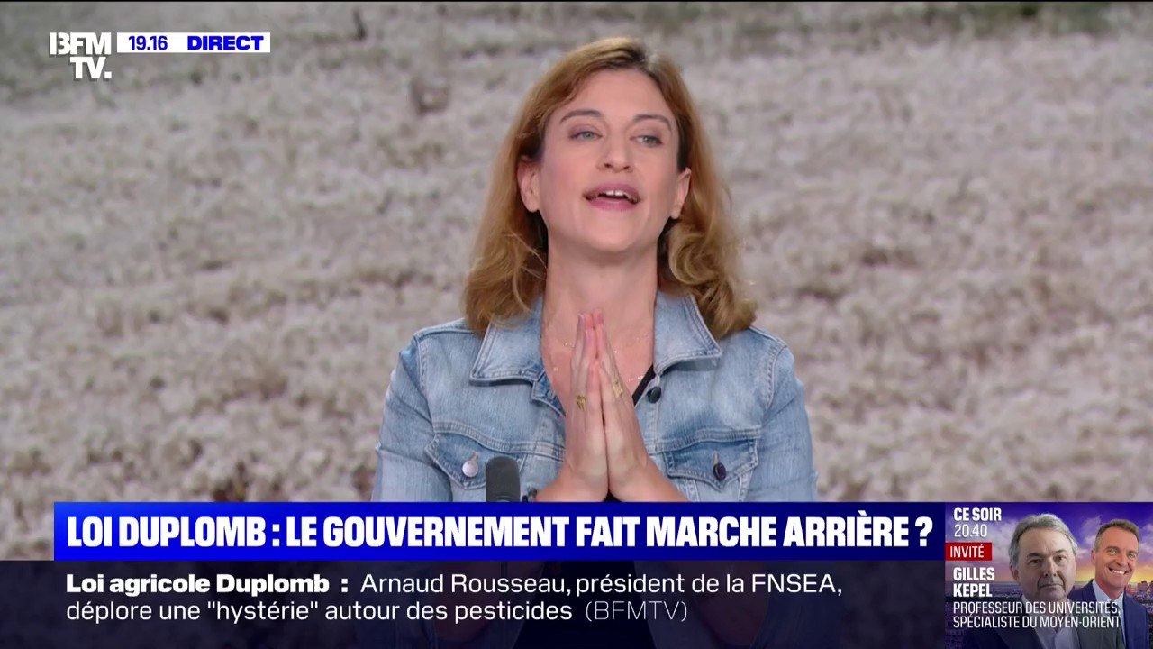 Loi Duplomb: "Le débat arrive à un moment où la France n'est pas prête", déclare Juliette Méadel, ministre déléguée chargée de la Ville