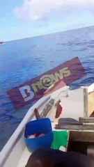 Barco é atingido por catamarã e naufraga em Salvador; saiba detalhes