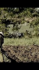 La Distopía Posmoderna en America Latina